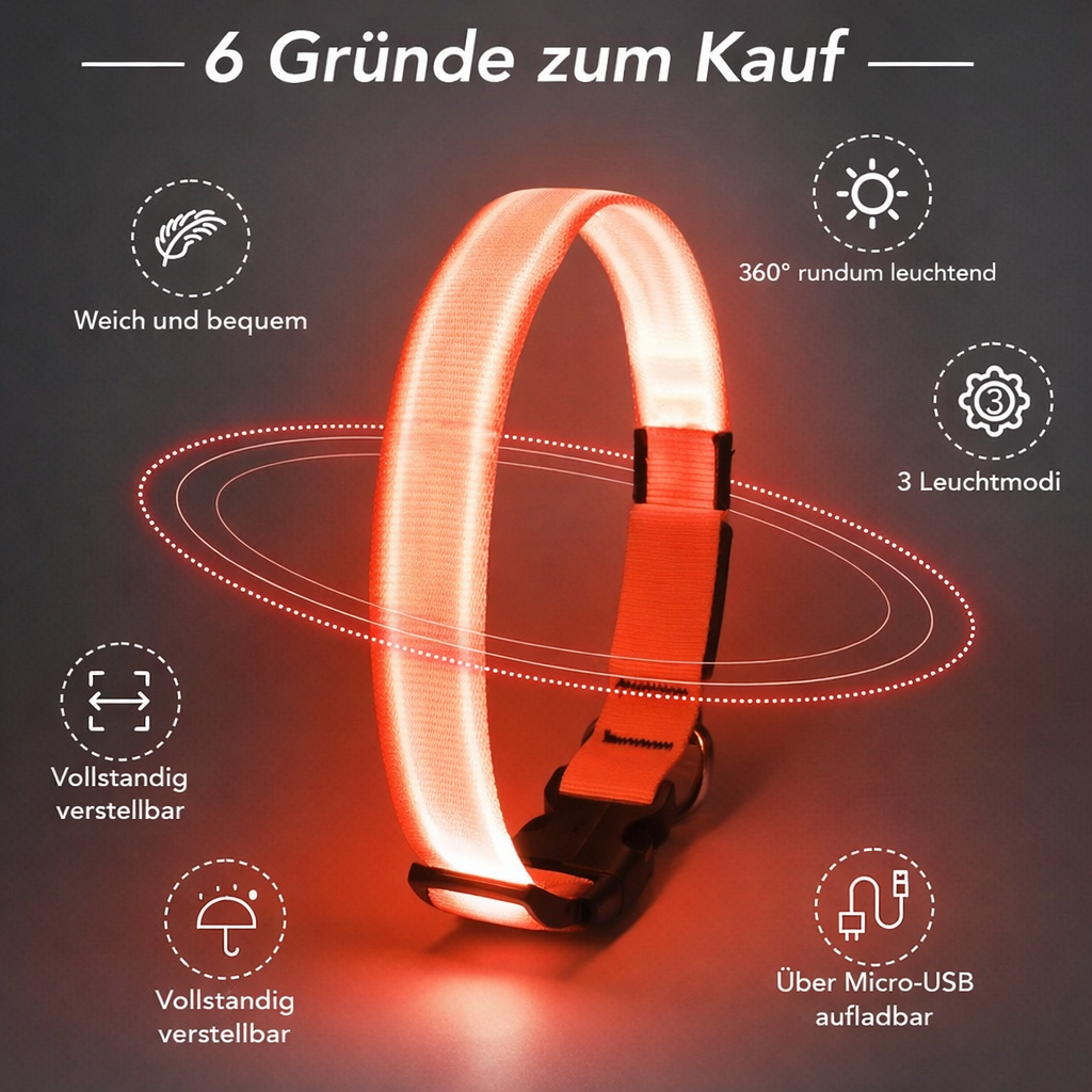 LED Hundehalsband