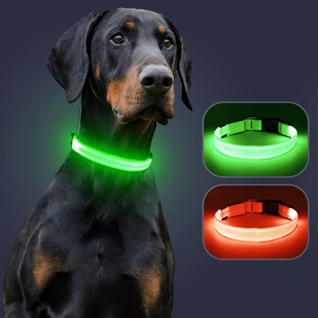 LED Hundehalsband
