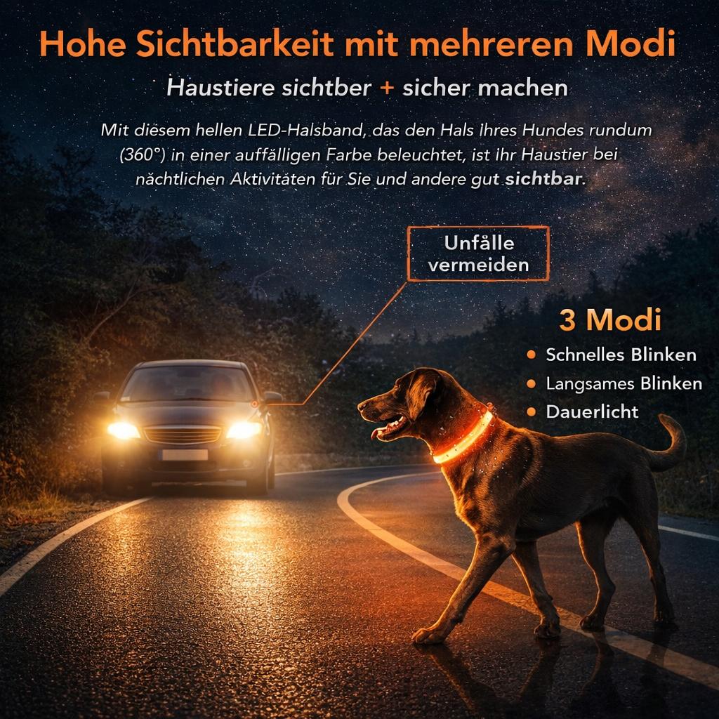 LED Hundehalsband