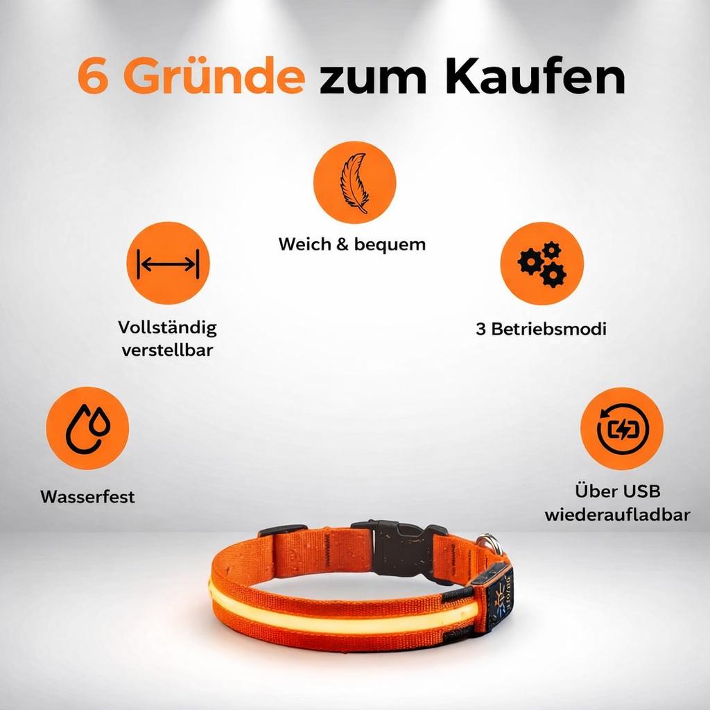 LED Hundehalsband