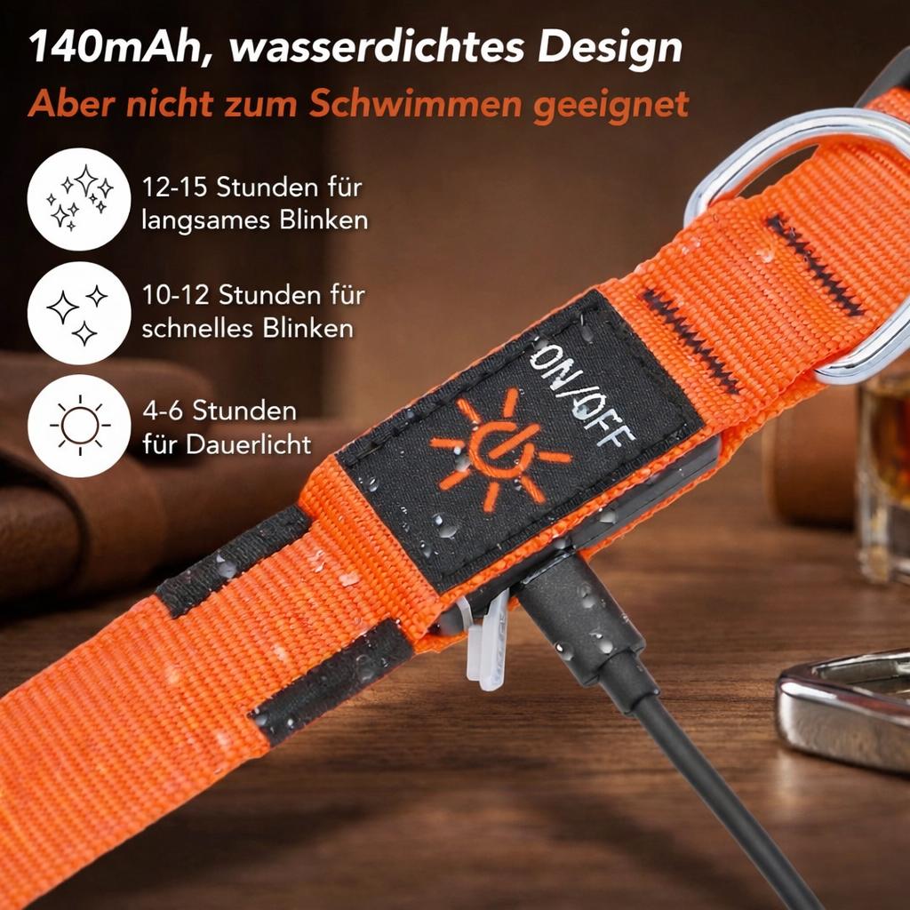 LED Hundehalsband