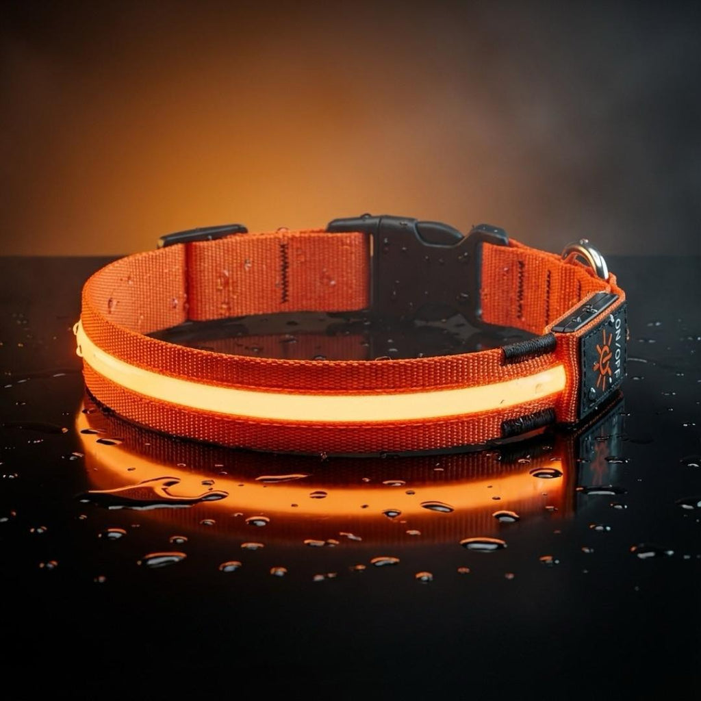 LED Hundehalsband