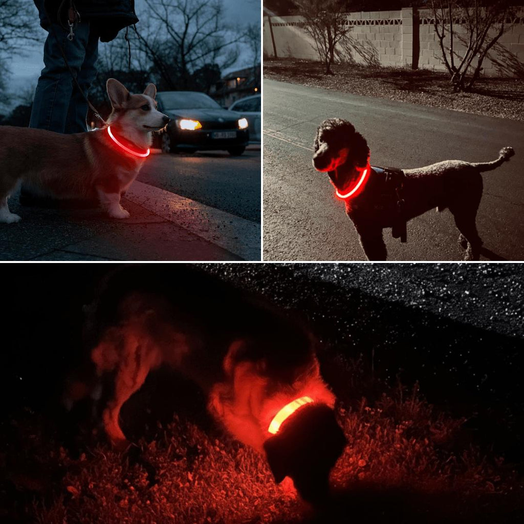 LED Hundehalsband